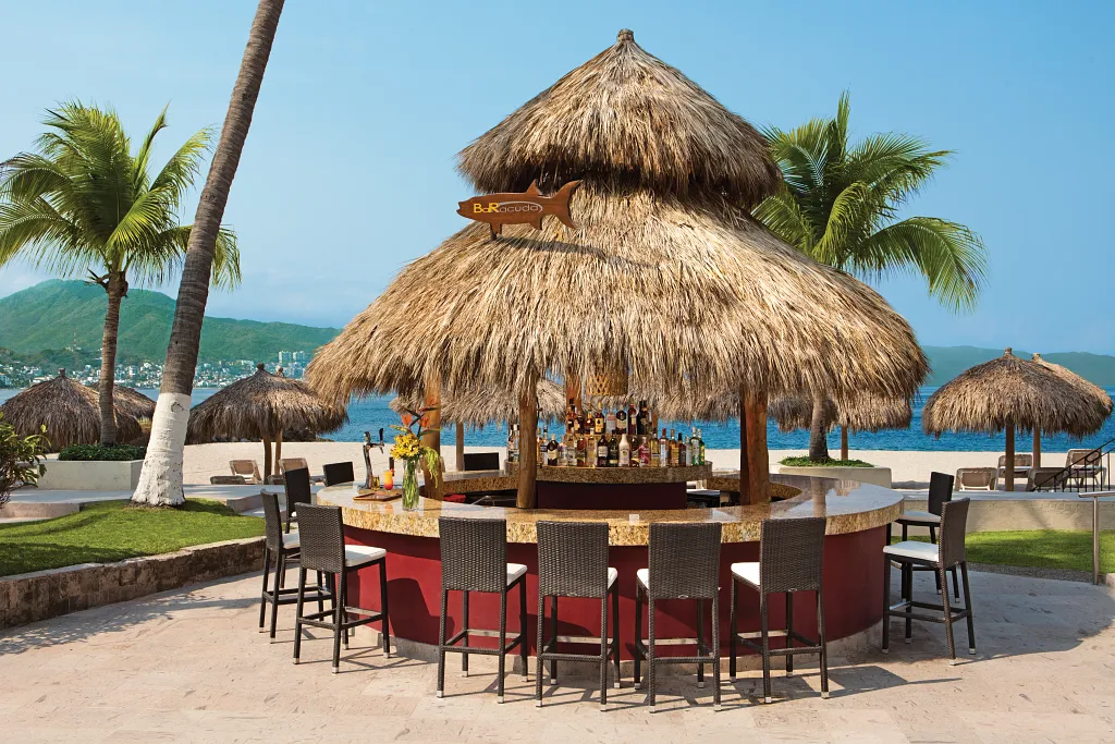Barracuda Pool Bar at Sunscape Puerto Vallarta Resort & Spa featuring a thatched-roof swim-up bar with tropical cocktails and ocean views.