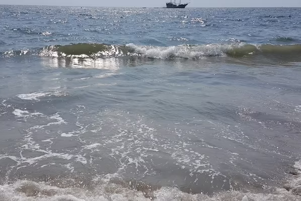 Playa de Oro beach near Sunscape Puerto Vallarta Resort & Spa with golden sand and Pacific Ocean views